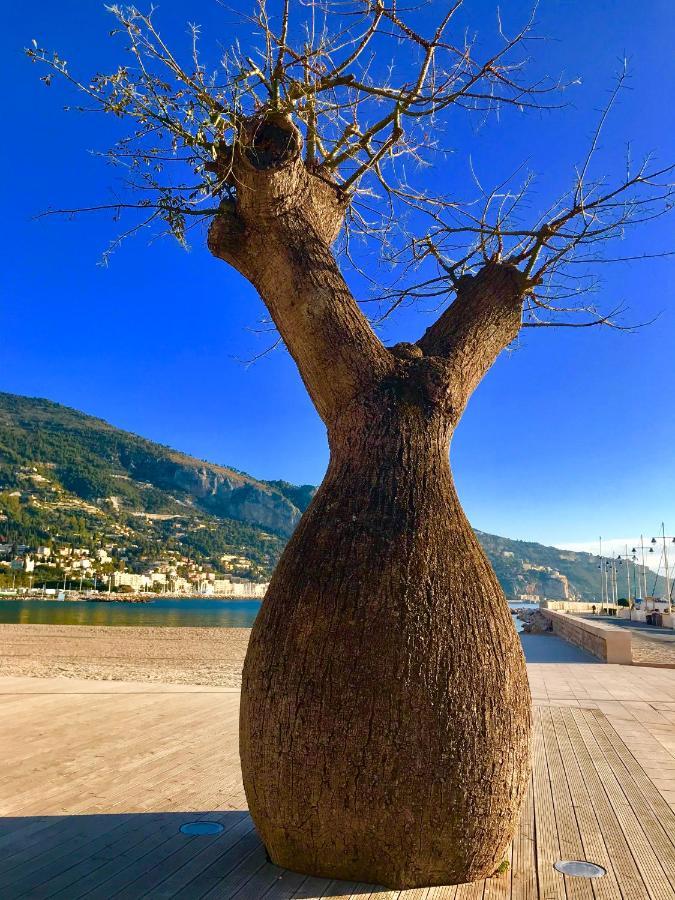 Longue 1 Menton Apartment Exterior foto